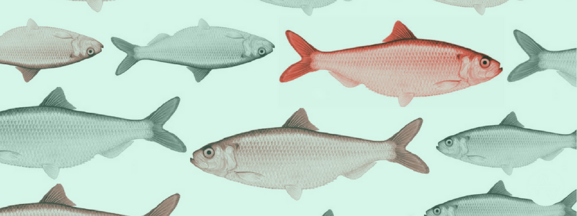 Using Twyman’s Law to Avoid Red Herrings in Product Analytics