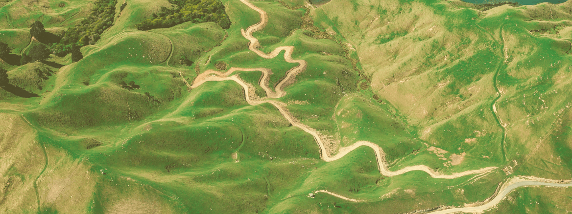 We’re Getting a Head Start on Diversity