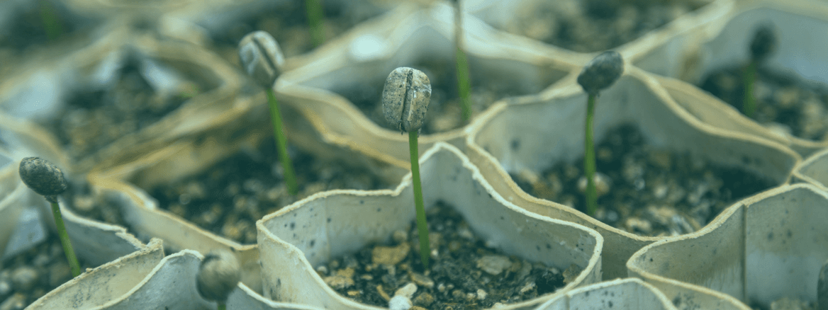 The Foundation for Great Analytics is a Great Taxonomy