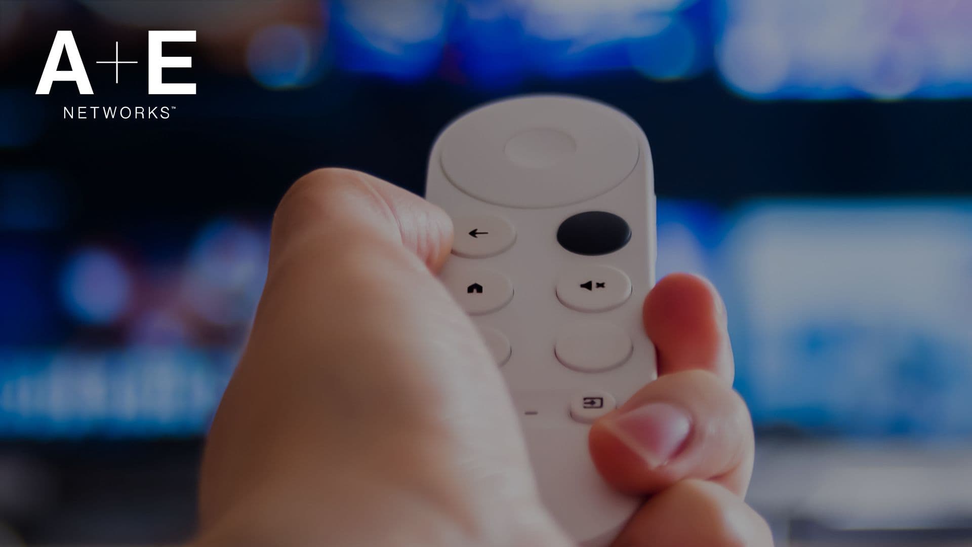 AE Networks Featured Image