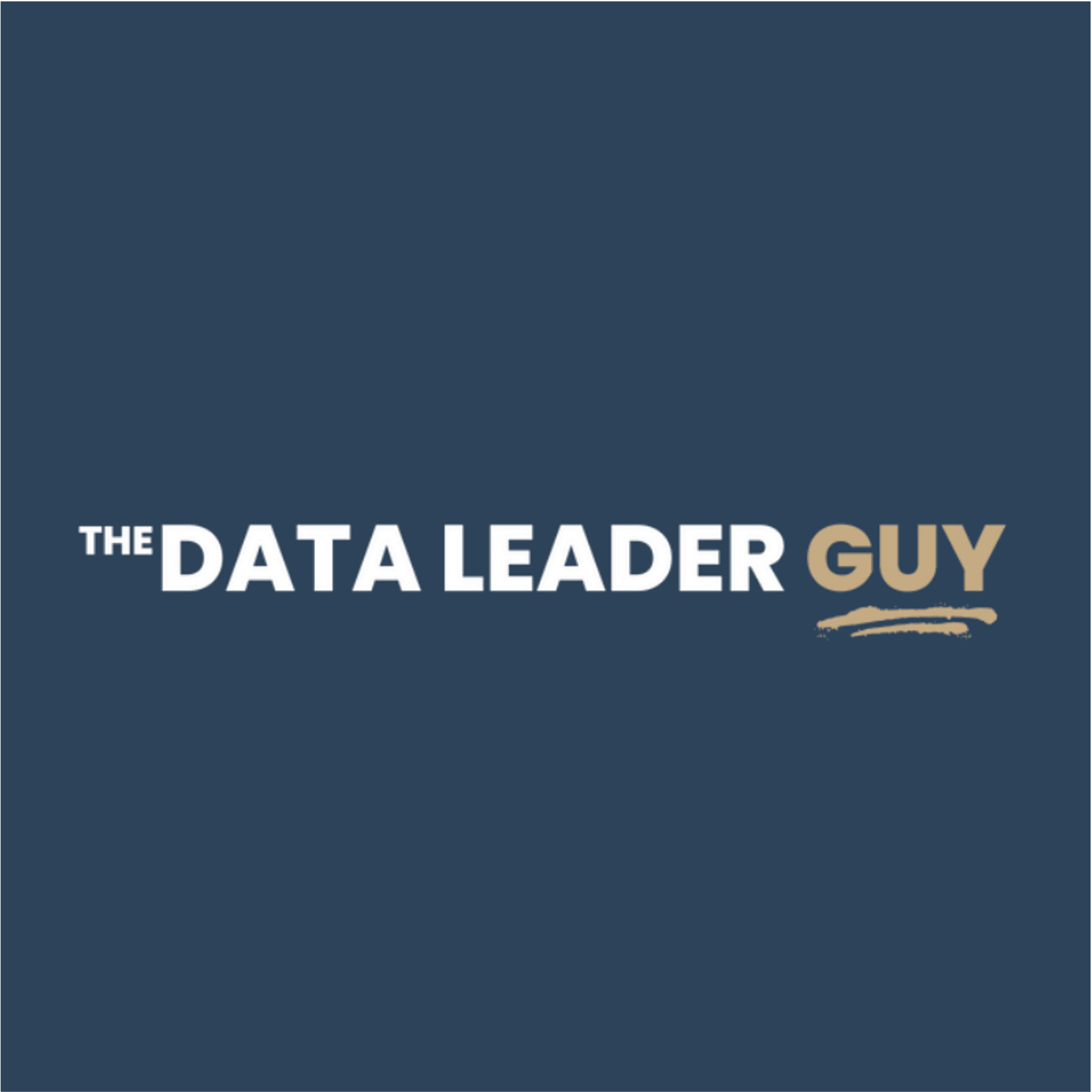 The Data Leader Guy