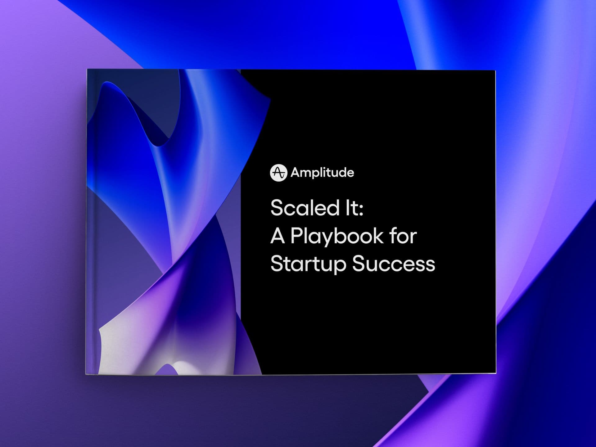 Scaled It: A Playbook for Startup Success