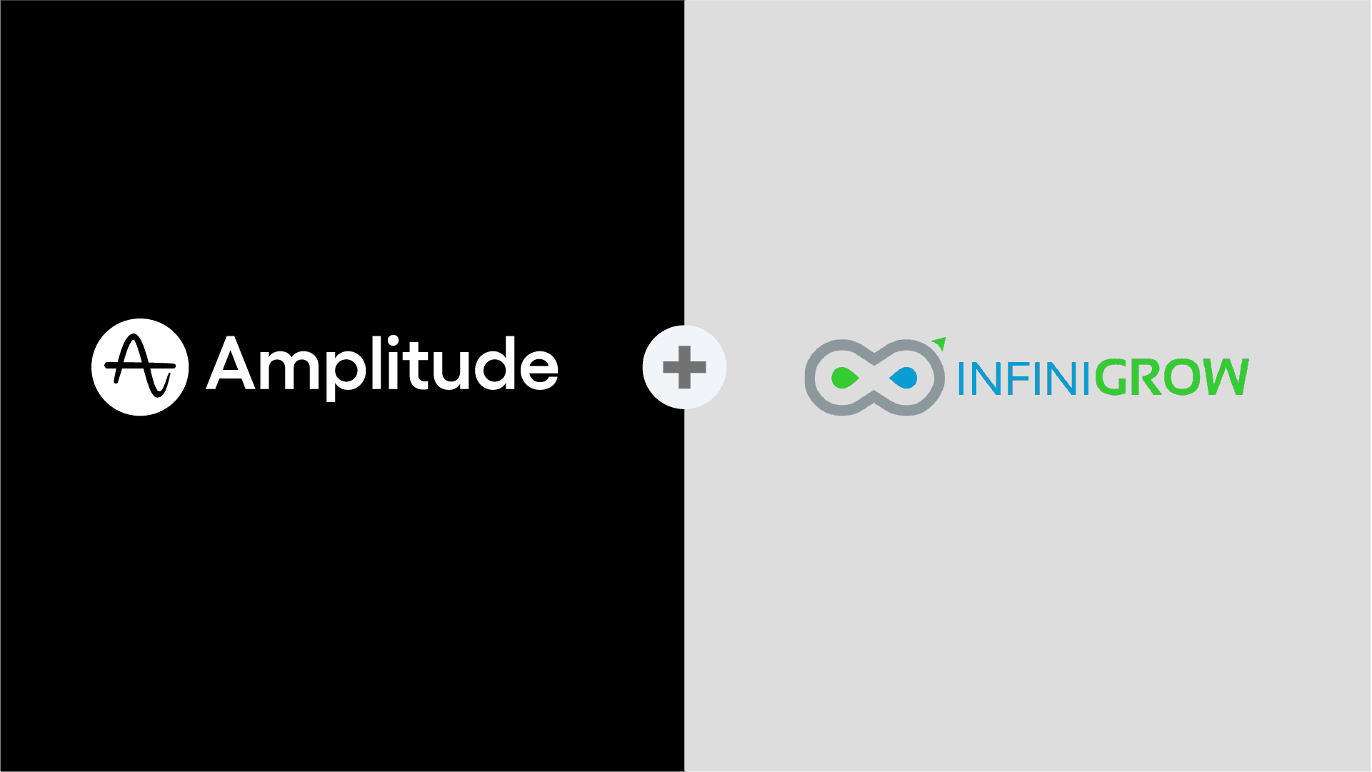 Amplitude InfiniGrow feature