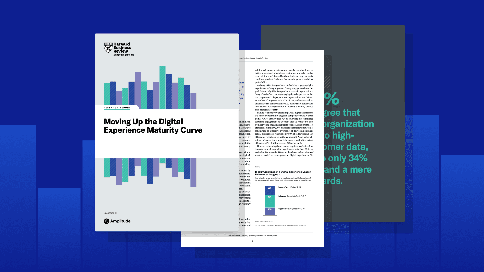Moving Up the Digital Experience Maturity Curve report